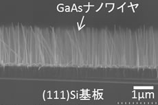 スパッタ絶縁膜作製装置